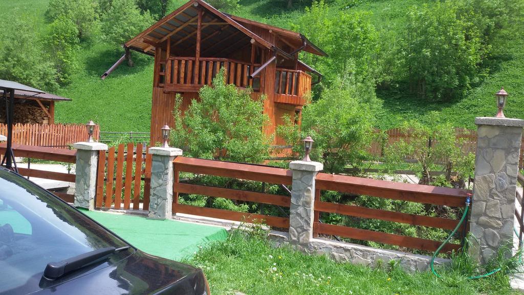 Pensiunea Malina Moeciu De Sus Exterior foto