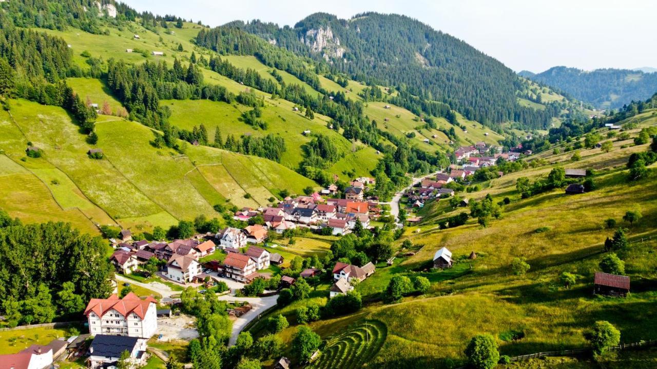 Pensiunea Malina Moeciu De Sus Exterior foto