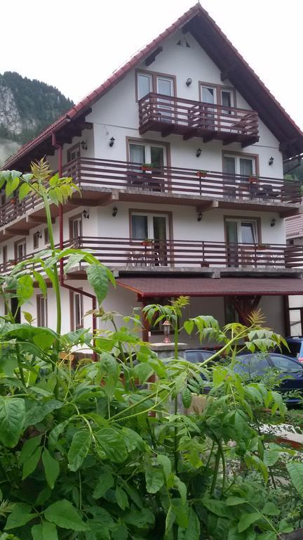 Pensiunea Malina Moeciu De Sus Exterior foto